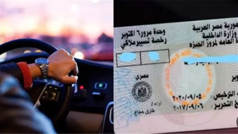 الرخصة    