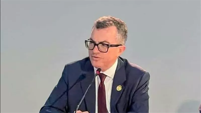 وزير التخطيط     