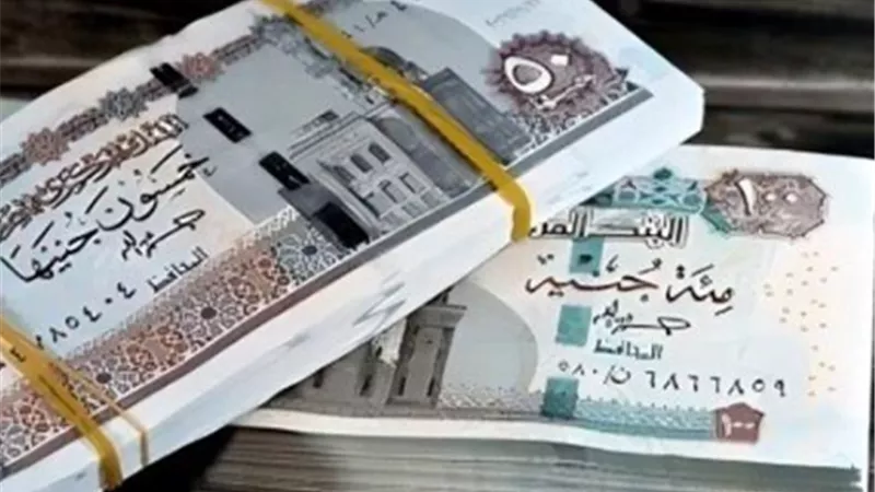 موعد صرف مرتبات نوفمبر 2026    