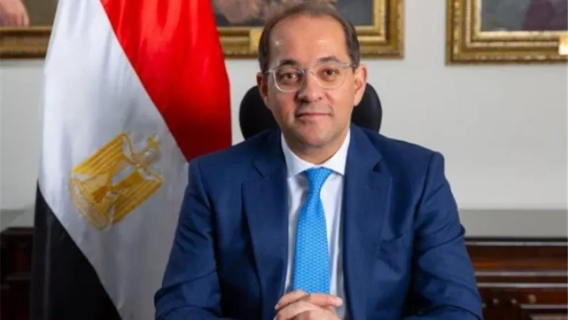 أحمد كجوك وزير المالية    