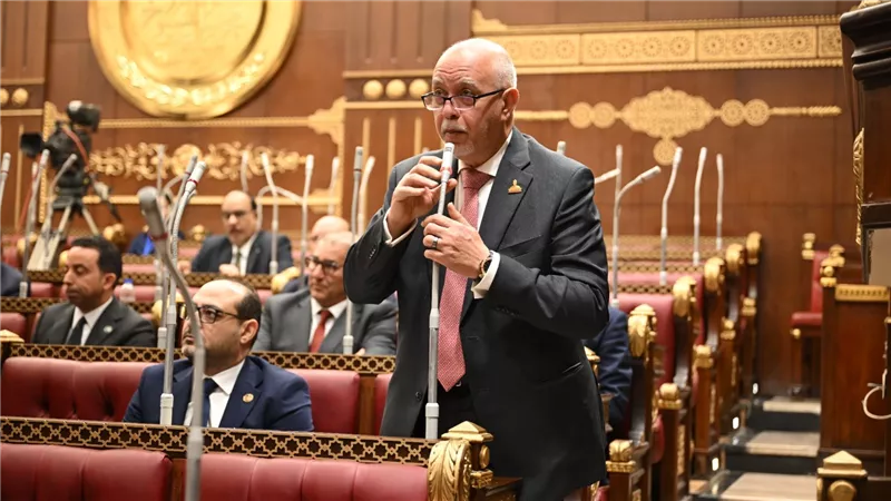 النائب حازم الجندي    