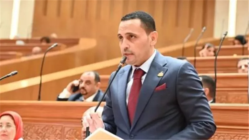 النائب إسلام التلواني    