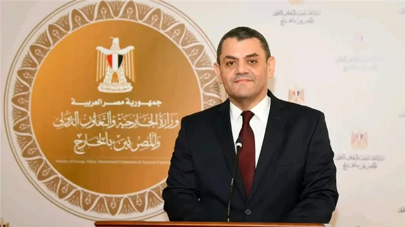 السفير نادر زكي، المتحدث باسم وزارة الخارجية    