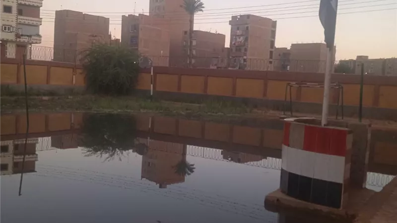 صورة من الواقعة     