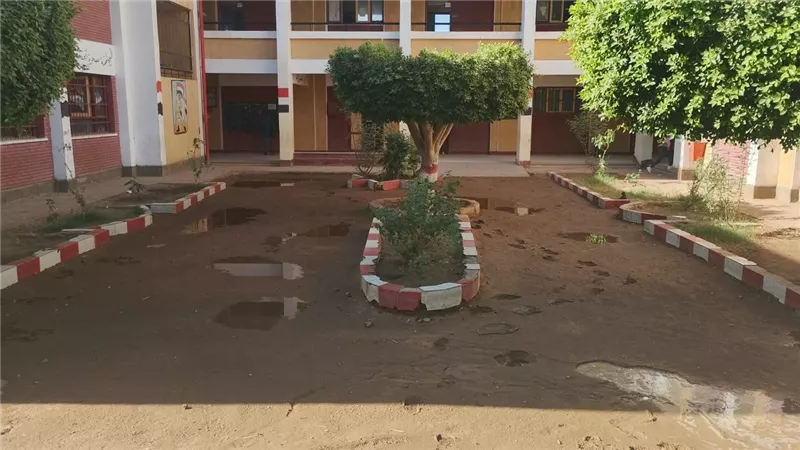 المدرسة    