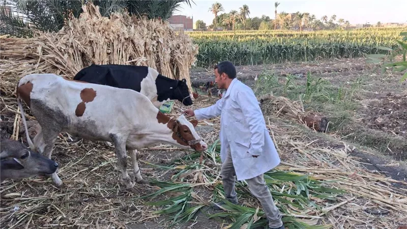 جانب من الحدث     