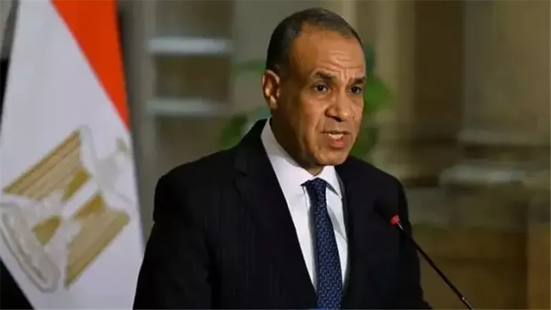 الدكتور بدر عبد العاطي، وزير الخارجية    