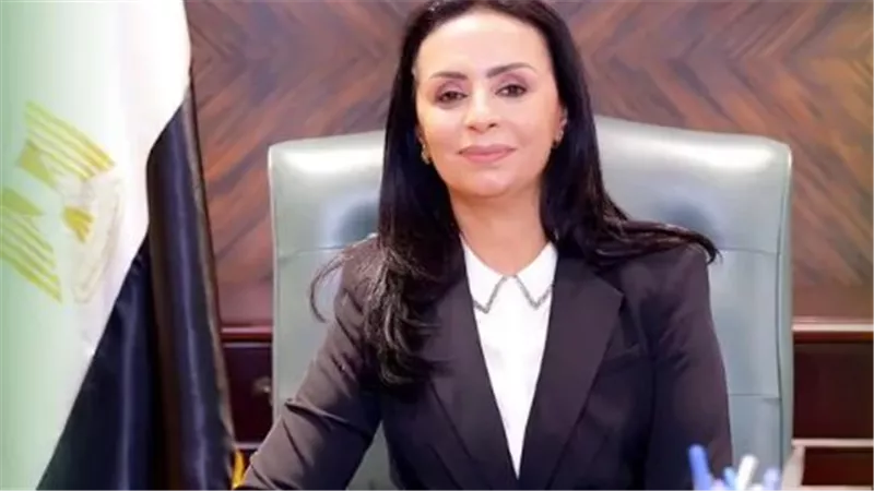 الدكتورة مايا مرسي    