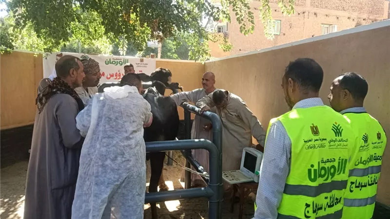 عملية التوزيع     
