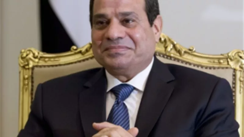 الرئيس عبد الفتاح السيسي    