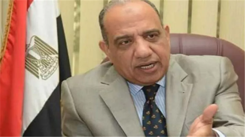 وزير الكهرباء    