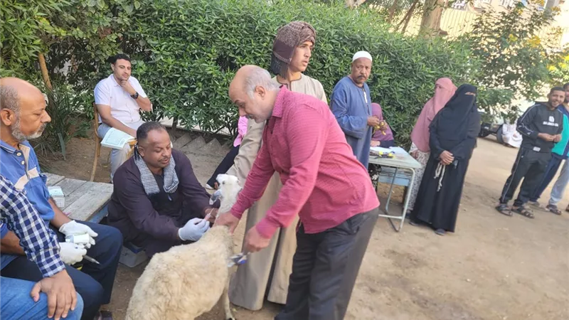 جانب من الحملة     