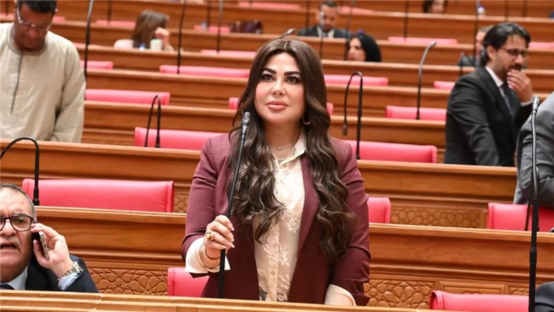 النائبة ولاء الصبان     