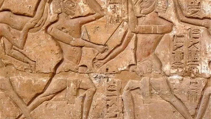 أرشيفية    