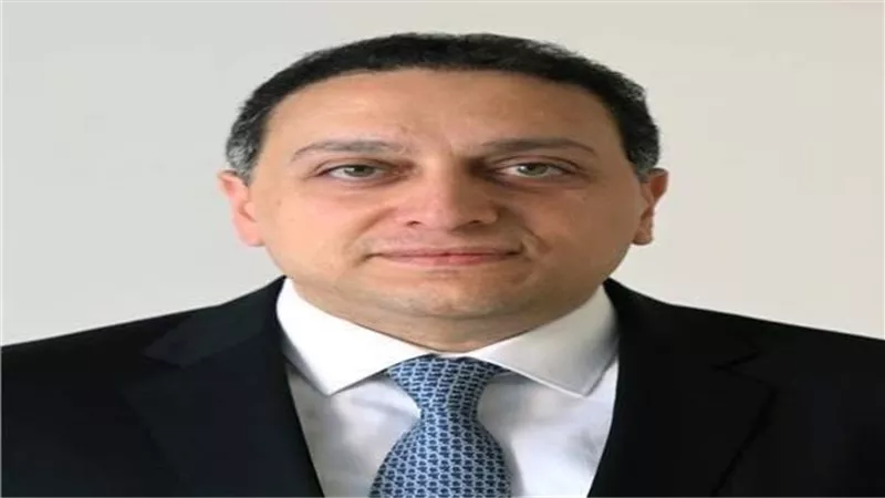 المستشار محمد عادل     