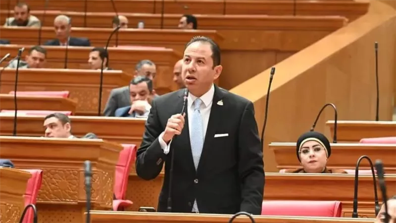 النائب حسن عمار    