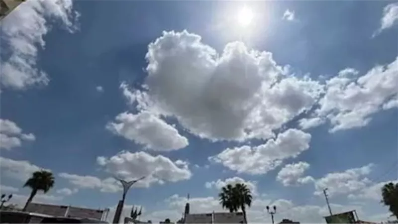 الطقس    
