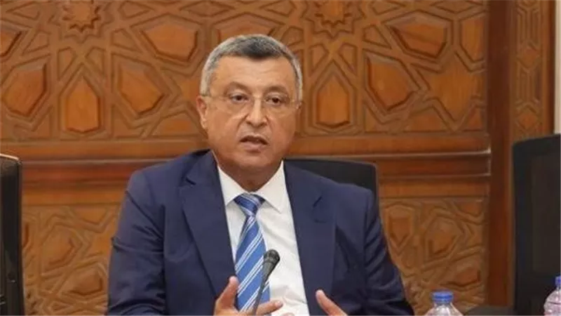 المهندس أسامة كمال رئيس لجنة الطاقة بمجلس الشيوخ    