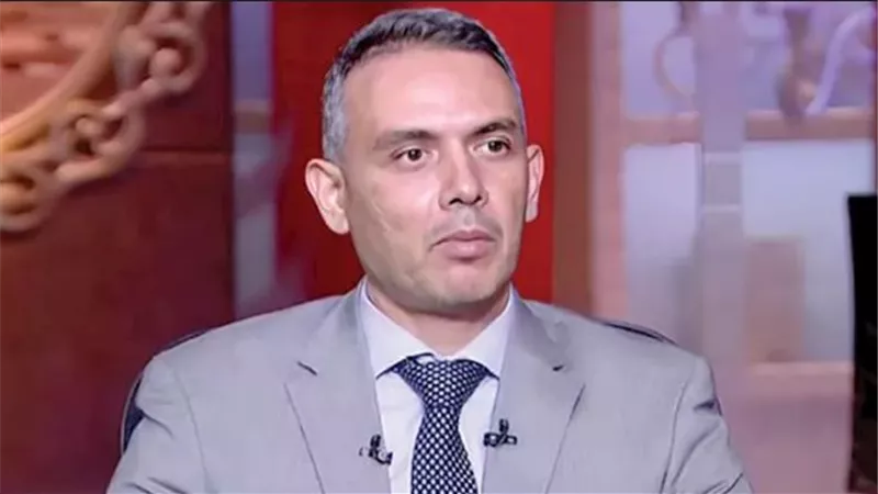 هاني جنينة، الخبير الاقتصادي    