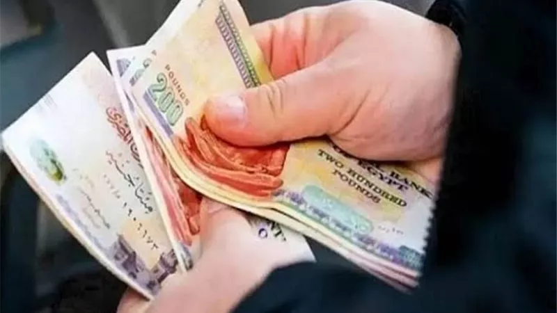 المعاشات     
