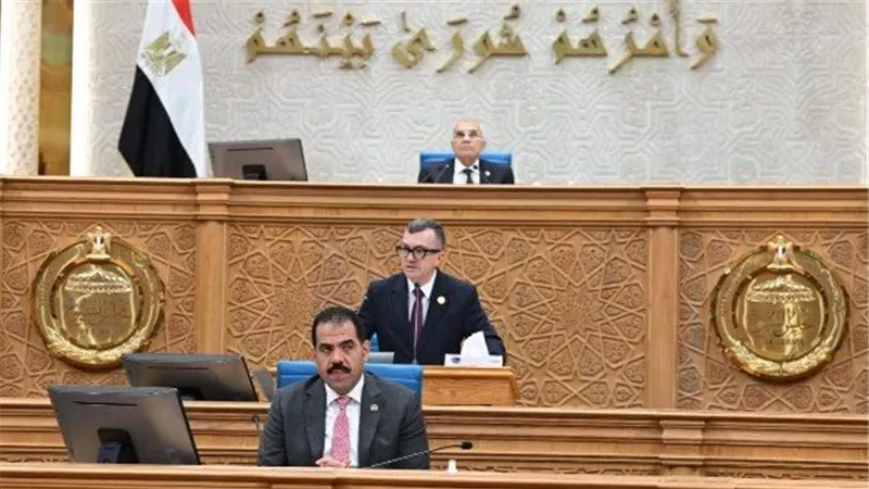 وزير التخطيط     