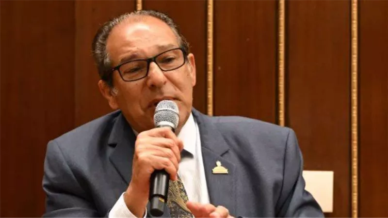 النائب حسام الخولي    