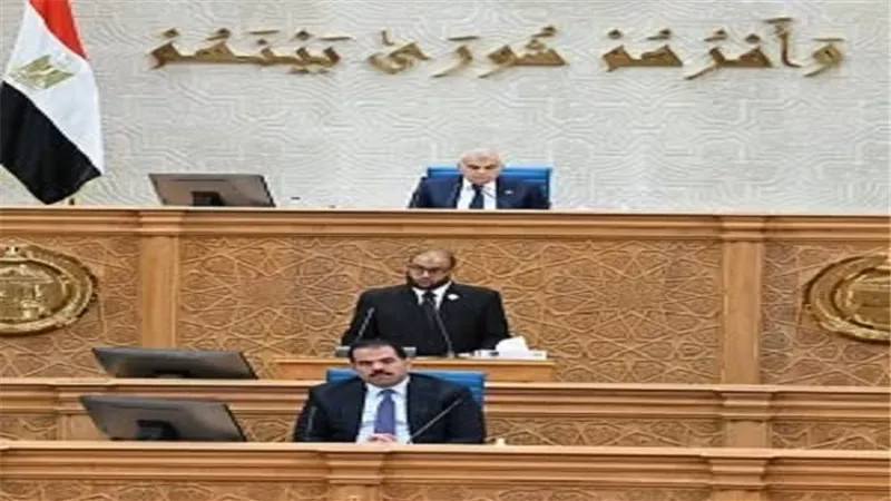 مجلس الشيوخ - أرشيفية    
