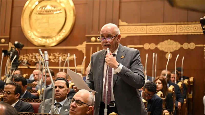 النائب حازم الجندي     