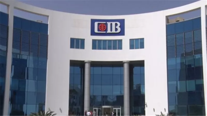 خدمات CIB    