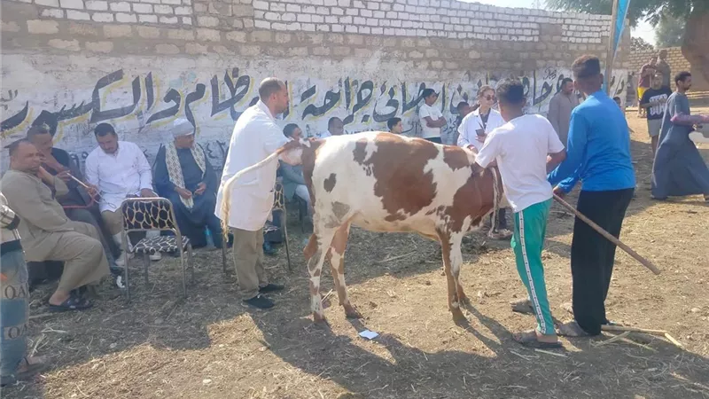 جانب من القافلة     
