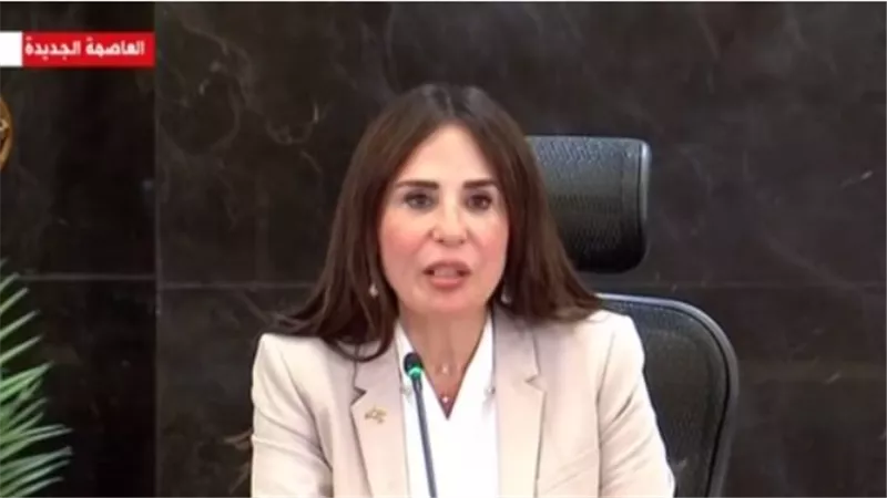  المهندسة راندة المنشاوي    