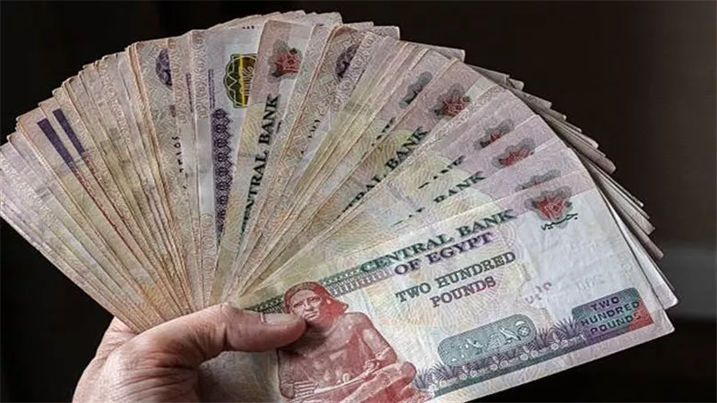 مرتبات نوفمبر    