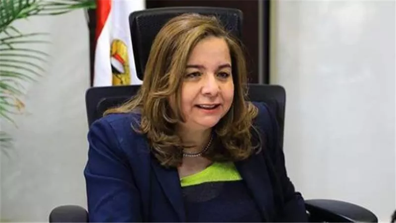 المهندسة مي عبد الحميد    