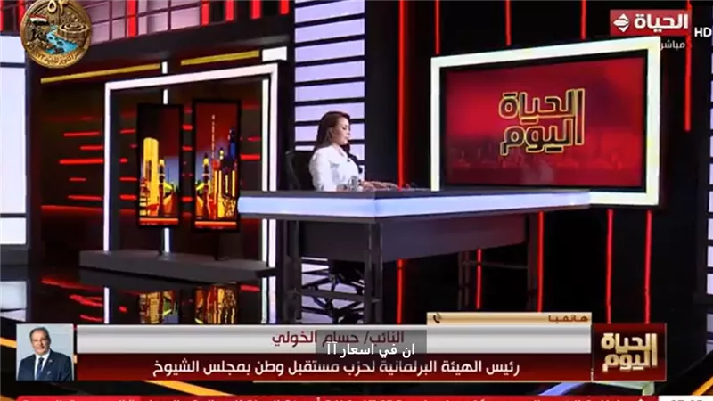 النائب حسام الخولي    