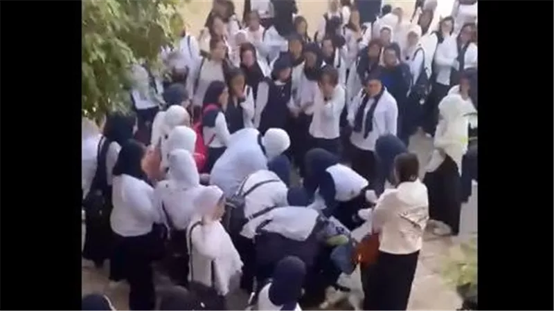 مدرسة المطرية الثانوية    