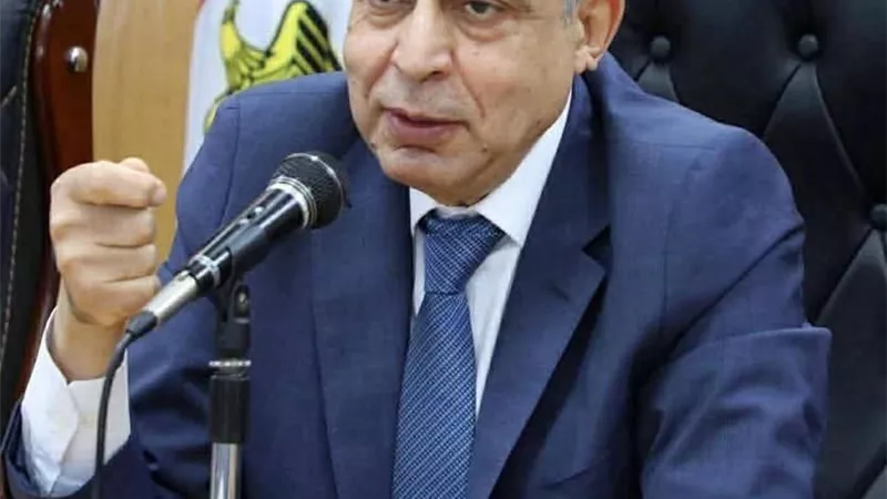 محافظ المنيا     