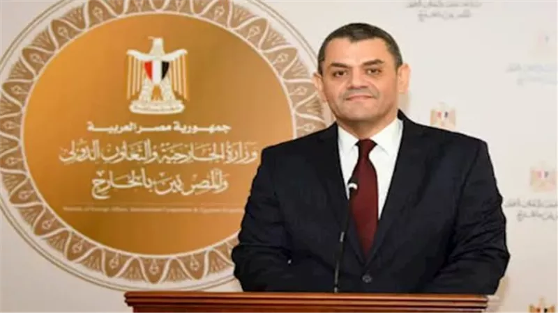 السفير نادر زكي، المتحدث باسم وزارة الخارجية    