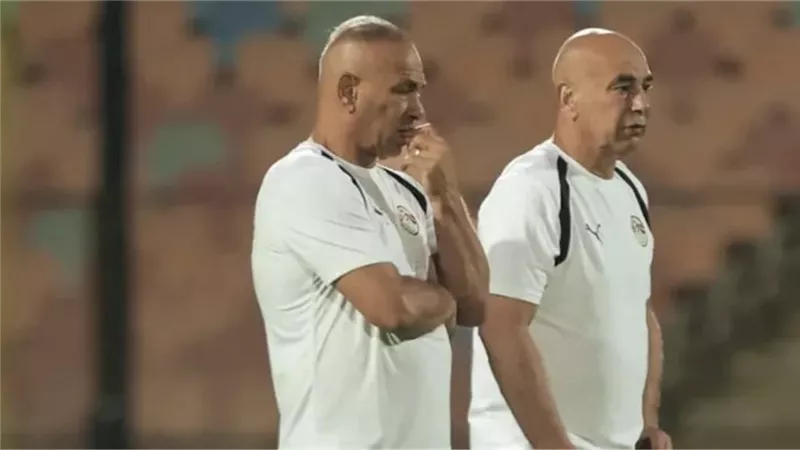 حسام وإبراهيم حسن     