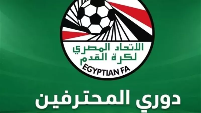 دوري المحترفين    