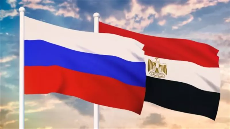 الشراكة المصرية الروسية    