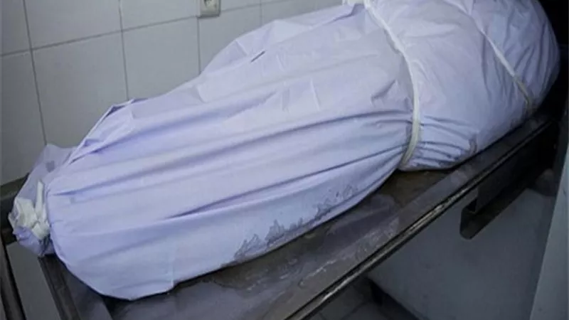 الرئيس نيوز